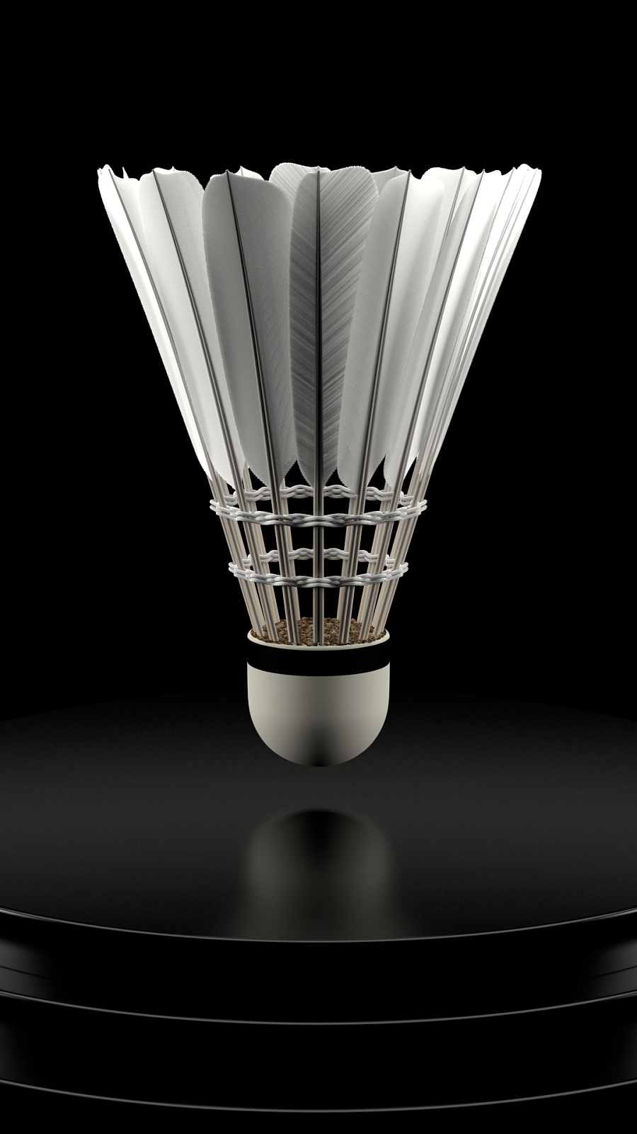 界展现了强 界展现了强